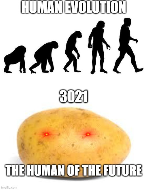  HUMAN EVOLUTION; 3021; THE HUMAN OF THE FUTURE | image tagged in human evolution,potato | made w/ Imgflip meme maker