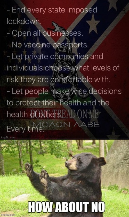 The Libertarian "Solution": Do Nothing About Anything, No Matter How Trivial | image tagged in memes,how about no bear,covid-19,covid 19,covidiots,libertarianism | made w/ Imgflip meme maker
