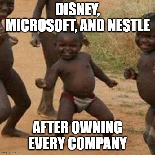 Third World Success Kid Meme | DISNEY, MICROSOFT, AND NESTLE; AFTER OWNING EVERY COMPANY | image tagged in memes,third world success kid | made w/ Imgflip meme maker