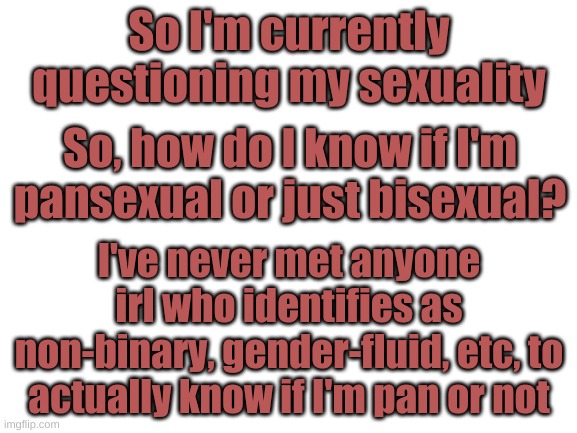 I need some help. | So I'm currently questioning my sexuality; So, how do I know if I'm pansexual or just bisexual? I've never met anyone irl who identifies as non-binary, gender-fluid, etc, to actually know if I'm pan or not | image tagged in blank white template | made w/ Imgflip meme maker