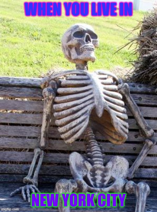 Waiting Skeleton | WHEN YOU LIVE IN; NEW YORK CITY | image tagged in memes,waiting skeleton | made w/ Imgflip meme maker