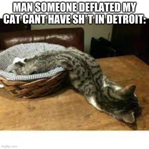 Deflated cat | MAN SOMEONE DEFLATED MY CAT CANT HAVE SH*T IN DETROIT: | image tagged in memes,funny,oh wow are you actually reading these tags | made w/ Imgflip meme maker