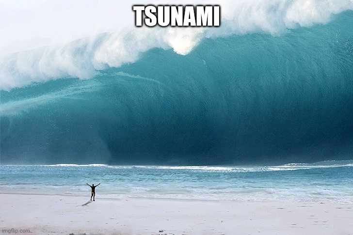 Tsunami | TSUNAMI | image tagged in tsunami | made w/ Imgflip meme maker