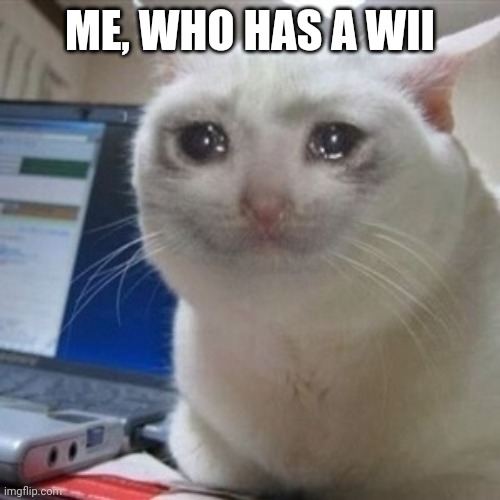 Crying cat | ME, WHO HAS A WII | image tagged in crying cat | made w/ Imgflip meme maker