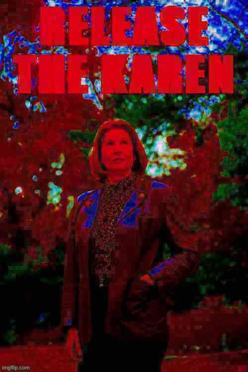 Sidney Powell release the Karen deep-fried 3 | image tagged in sidney powell release the karen deep-fried 3 | made w/ Imgflip meme maker