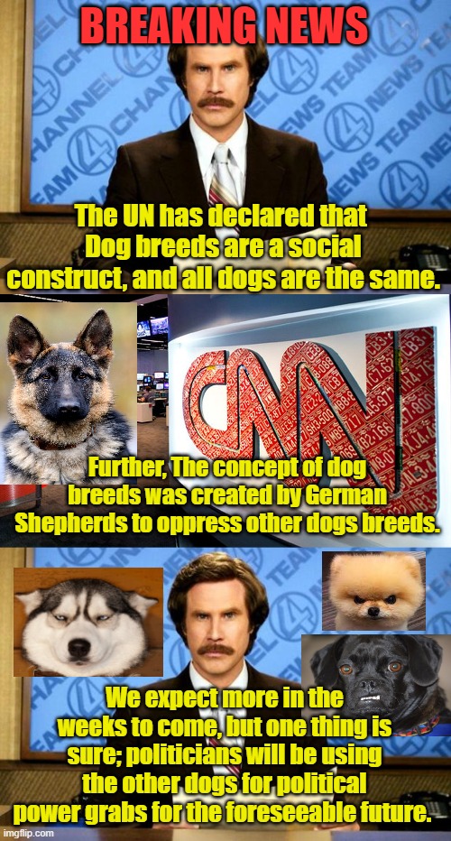BREAKING NEWS; The UN has declared that  Dog breeds are a social construct, and all dogs are the same. Further, The concept of dog breeds was created by German Shepherds to oppress other dogs breeds. We expect more in the weeks to come, but one thing is sure; politicians will be using the other dogs for political power grabs for the foreseeable future. | image tagged in breaking news,cnn,political humor,political correctness,dogs | made w/ Imgflip meme maker