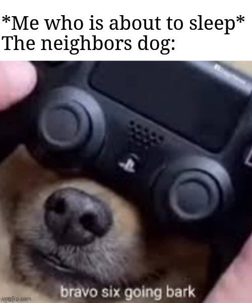 Insomniaaaaa | *Me who is about to sleep*
The neighbors dog: | image tagged in bravo six going bark,yes,memes | made w/ Imgflip meme maker