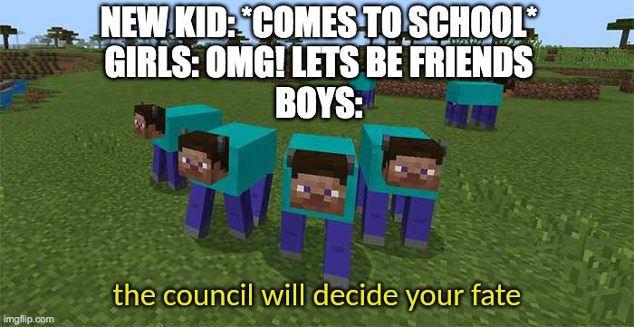 The Council will decide your fate | NEW KID: *COMES TO SCHOOL*
GIRLS: OMG! LETS BE FRIENDS
BOYS: | image tagged in the council will decide your fate | made w/ Imgflip meme maker