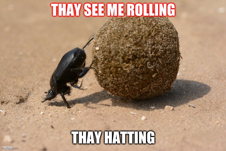 , | THAY SEE ME ROLLING; THAY HATTING | image tagged in dung bettel | made w/ Imgflip meme maker