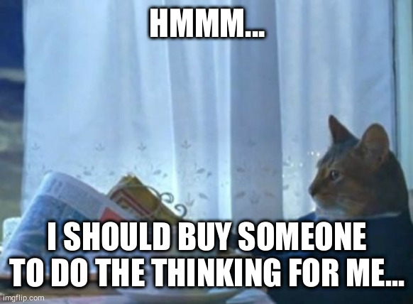 I Should Buy A Boat Cat | HMMM... I SHOULD BUY SOMEONE TO DO THE THINKING FOR ME... | image tagged in memes,i should buy a boat cat | made w/ Imgflip meme maker