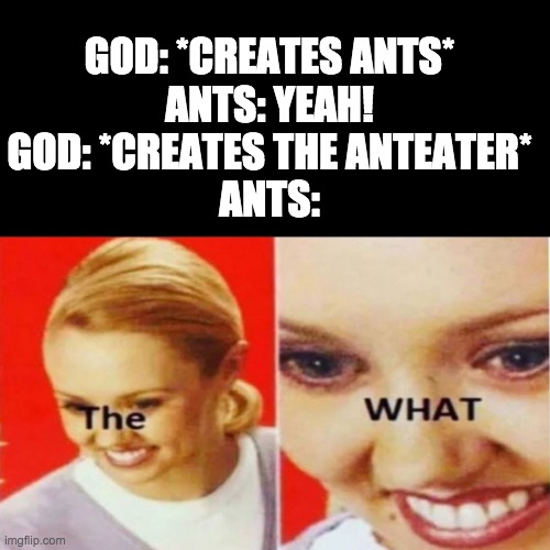 Ants be like.. | GOD: *CREATES ANTS*
ANTS: YEAH!
GOD: *CREATES THE ANTEATER*
ANTS: | image tagged in the what | made w/ Imgflip meme maker