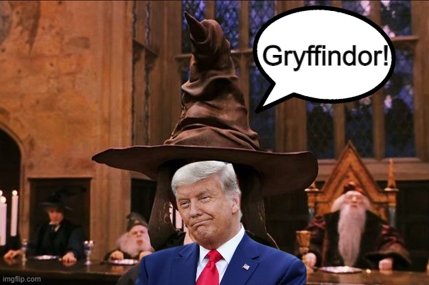 The sorting hat don't lie | Gryffindor! | image tagged in harry potter,donald trump,memes,politics | made w/ Imgflip meme maker