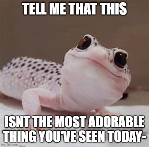 TELL ME THAT THIS; ISNT THE MOST ADORABLE THING YOU'VE SEEN TODAY- | made w/ Imgflip meme maker