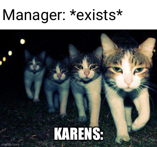 Wrong Neighboorhood Cats | Manager: *exists*; KARENS: | image tagged in memes,wrong neighboorhood cats | made w/ Imgflip meme maker