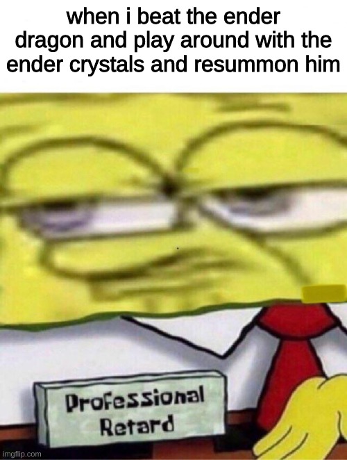 Spongebob professional retard | when i beat the ender dragon and play around with the ender crystals and resummon him | image tagged in spongebob professional retard | made w/ Imgflip meme maker