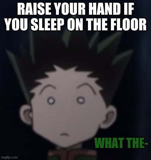 *raises hand* | RAISE YOUR HAND IF YOU SLEEP ON THE FLOOR | image tagged in gon what the- | made w/ Imgflip meme maker