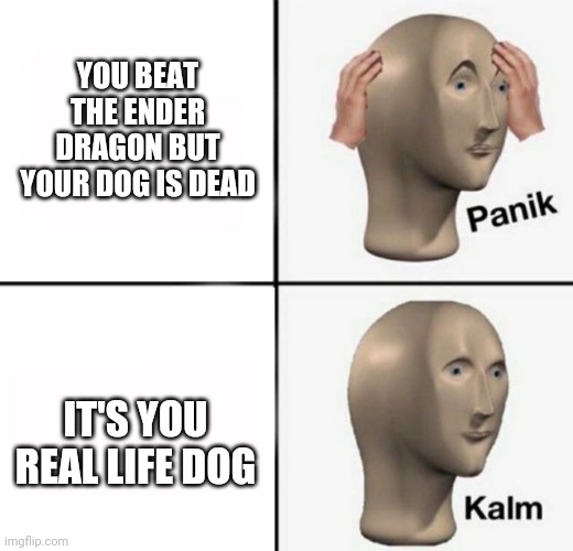 Fun and games | YOU BEAT THE ENDER DRAGON BUT YOUR DOG IS DEAD; IT'S YOU REAL LIFE DOG | image tagged in panik kalm | made w/ Imgflip meme maker