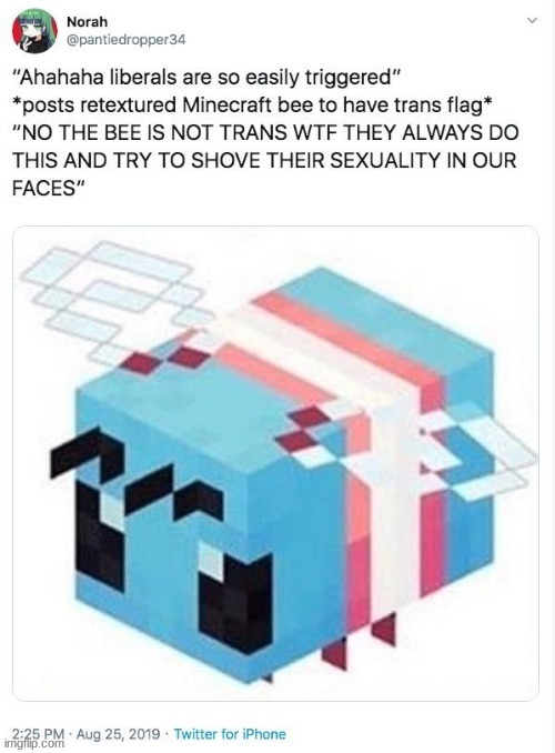 i love trans bee | made w/ Imgflip meme maker