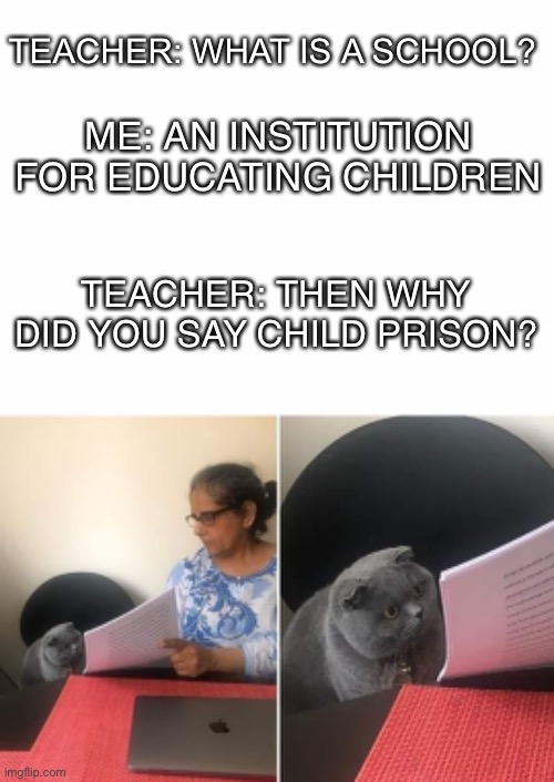 Lots o truth | TEACHER: WHAT IS A SCHOOL? ME: AN INSTITUTION FOR EDUCATING CHILDREN; TEACHER: THEN WHY DID YOU SAY CHILD PRISON? | image tagged in woman showing paper to cat,fun,school sucks | made w/ Imgflip meme maker