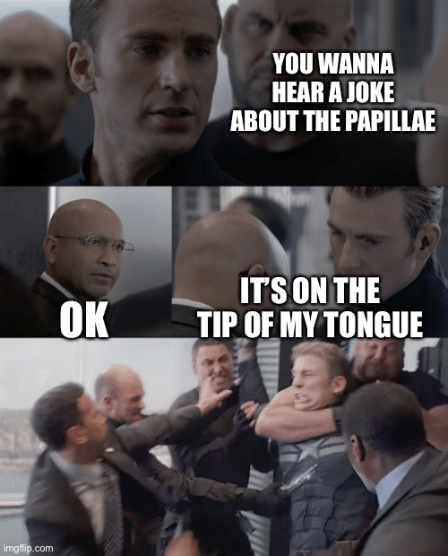 Captain america elevator | YOU WANNA HEAR A JOKE ABOUT THE PAPILLAE; OK; IT’S ON THE TIP OF MY TONGUE | image tagged in captain america elevator | made w/ Imgflip meme maker