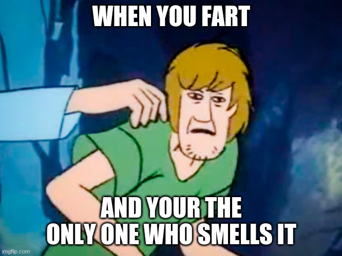 Shaggy meme | WHEN YOU FART; AND YOUR THE ONLY ONE WHO SMELLS IT | image tagged in shaggy meme | made w/ Imgflip meme maker