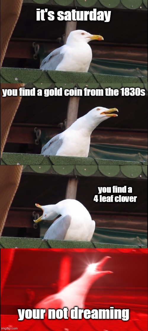 Inhaling Seagull |  it's saturday; you find a gold coin from the 1830s; you find a 4 leaf clover; your not dreaming | image tagged in memes,inhaling seagull | made w/ Imgflip meme maker
