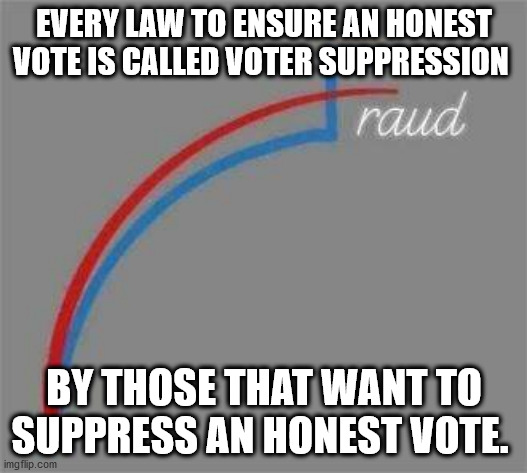 Honest Vote | EVERY LAW TO ENSURE AN HONEST VOTE IS CALLED VOTER SUPPRESSION; BY THOSE THAT WANT TO SUPPRESS AN HONEST VOTE. | image tagged in votes,fraud | made w/ Imgflip meme maker