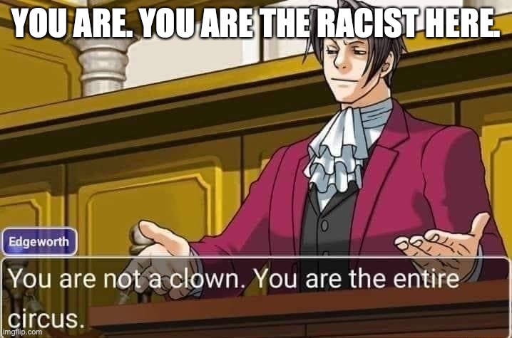 You are not only the clown,you are the entire circus | YOU ARE. YOU ARE THE RACIST HERE. | image tagged in you are not only the clown you are the entire circus | made w/ Imgflip meme maker