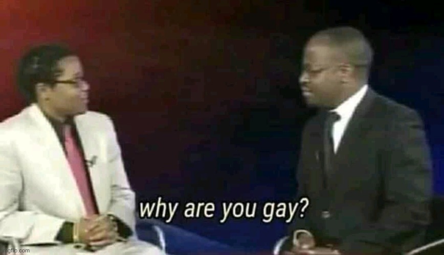 what caused you to be gay or something? (just a question) | image tagged in why are you gay | made w/ Imgflip meme maker