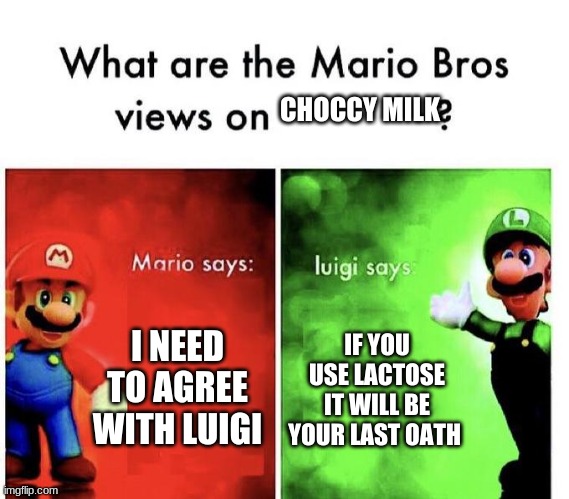 Mario Bros Views | I NEED TO AGREE WITH LUIGI IF YOU USE LACTOSE IT WILL BE YOUR LAST OATH CHOCCY MILK | image tagged in mario bros views | made w/ Imgflip meme maker