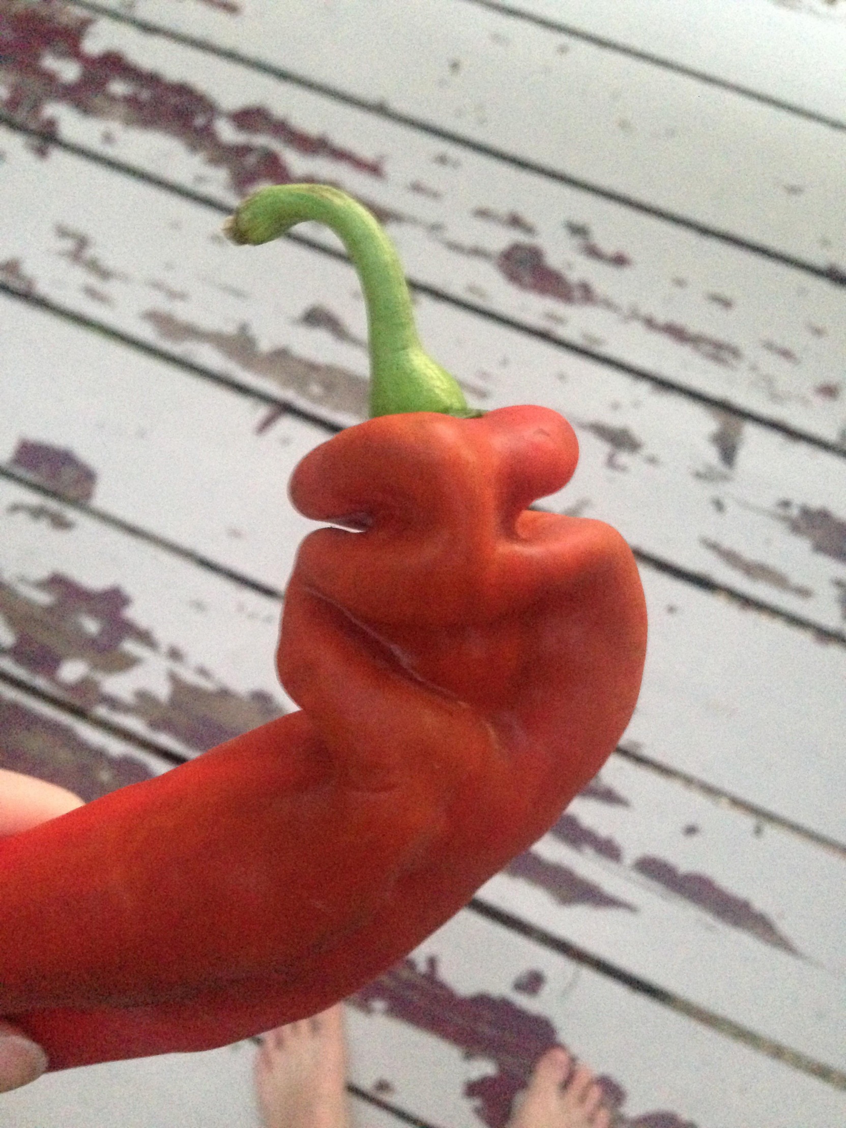 Spicy Pepper Blank Meme Template