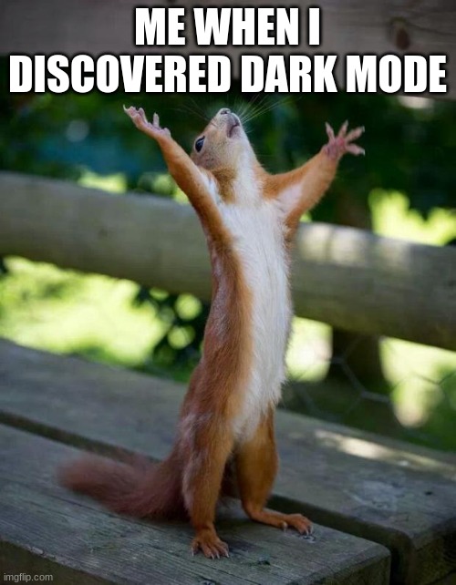 Happy Squirrel | ME WHEN I DISCOVERED DARK MODE | image tagged in happy squirrel | made w/ Imgflip meme maker