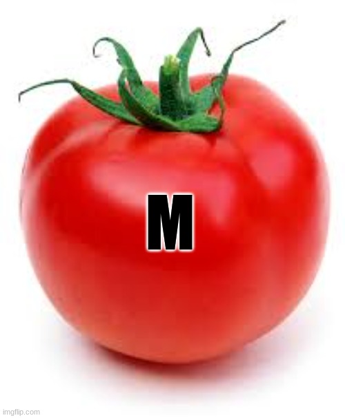tomato | M | image tagged in tomato | made w/ Imgflip meme maker