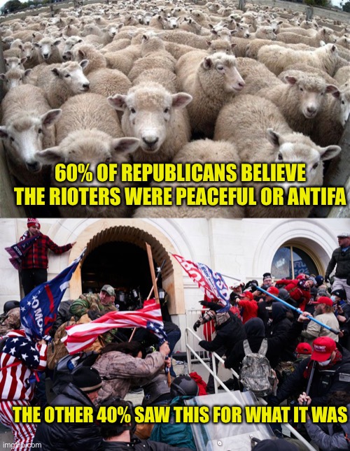 That 40% will vote Republican again because of libs of course | 60% OF REPUBLICANS BELIEVE THE RIOTERS WERE PEACEFUL OR ANTIFA; THE OTHER 40% SAW THIS FOR WHAT IT WAS | image tagged in sheeple | made w/ Imgflip meme maker