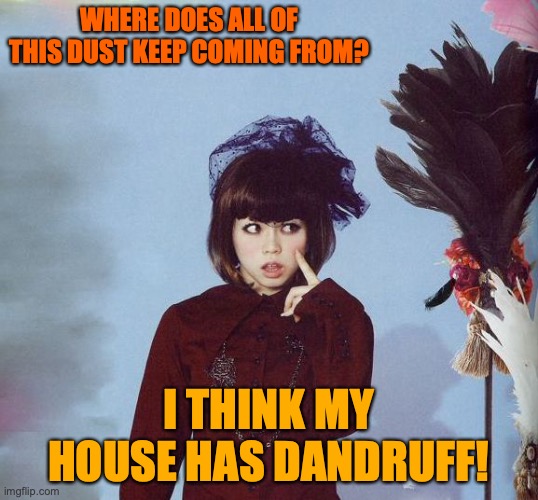 Lolita Duster | WHERE DOES ALL OF THIS DUST KEEP COMING FROM? I THINK MY HOUSE HAS DANDRUFF! | image tagged in lolita duster | made w/ Imgflip meme maker