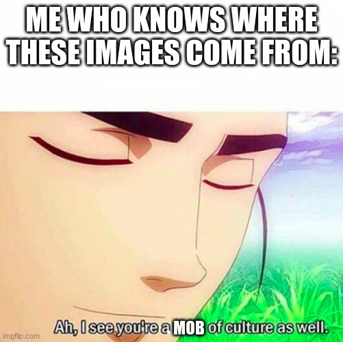 Ah,I see you are a man of culture as well | ME WHO KNOWS WHERE THESE IMAGES COME FROM: MOB | image tagged in ah i see you are a man of culture as well | made w/ Imgflip meme maker