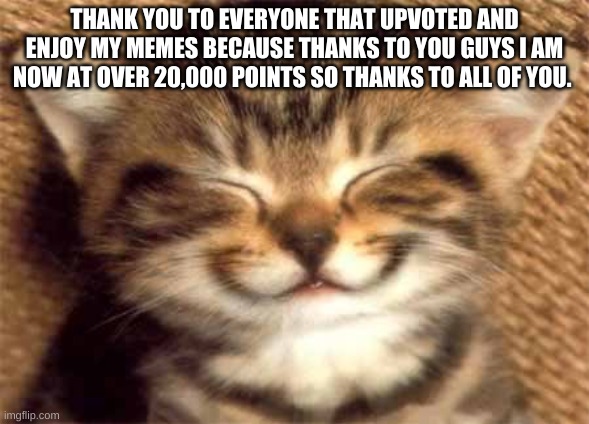 i really do mean it | THANK YOU TO EVERYONE THAT UPVOTED AND ENJOY MY MEMES BECAUSE THANKS TO YOU GUYS I AM NOW AT OVER 20,000 POINTS SO THANKS TO ALL OF YOU. | image tagged in thank you | made w/ Imgflip meme maker