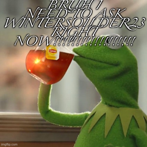 But That's None Of My Business | BRUH I NEED TO ASK WINTERSOILDER23 RIGHT NOW!!!!!!!!!!!!!!!!!! | image tagged in memes,but that's none of my business,kermit the frog | made w/ Imgflip meme maker