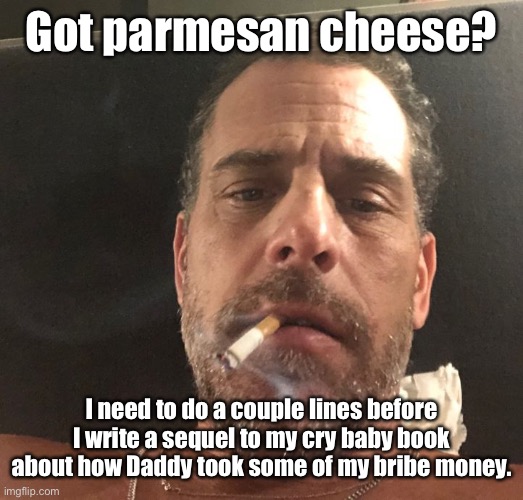 He’s already got both book copies pre-sold | Got parmesan cheese? I need to do a couple lines before I write a sequel to my cry baby book about how Daddy took some of my bribe money. | image tagged in hunter biden,parmesan cheese,cocaine,stupid,joe biden | made w/ Imgflip meme maker