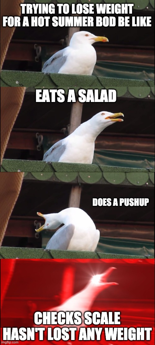 weight lost | TRYING TO LOSE WEIGHT FOR A HOT SUMMER BOD BE LIKE; EATS A SALAD; DOES A PUSHUP; CHECKS SCALE HASN'T LOST ANY WEIGHT | image tagged in memes,inhaling seagull | made w/ Imgflip meme maker