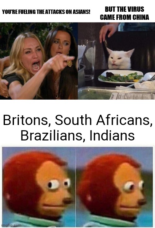 Why are we not getting reports of attacks on the others if the strains and variants are being named from where they identified? | YOU'RE FUELING THE ATTACKS ON ASIANS! BUT THE VIRUS CAME FROM CHINA; Britons, South Africans,
Brazilians, Indians | image tagged in memes,woman yelling at cat,monkey puppet,covid-19 | made w/ Imgflip meme maker