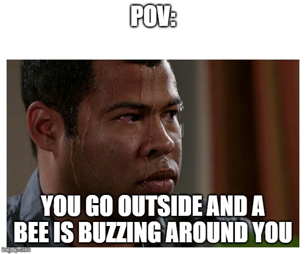 Jordan Peele Sweating | POV:; YOU GO OUTSIDE AND A BEE IS BUZZING AROUND YOU | image tagged in jordan peele sweating | made w/ Imgflip meme maker