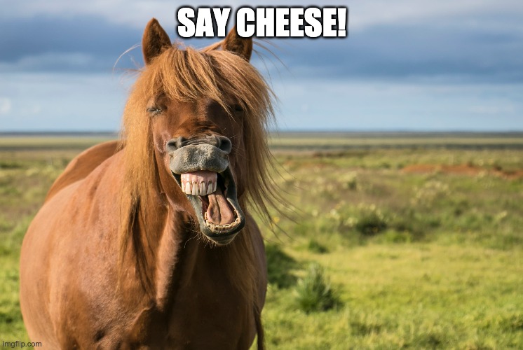 SAY CHEESE! | made w/ Imgflip meme maker