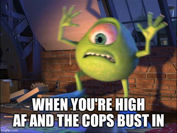 []]]]]]]               []]]]]]]]]]]]                []]]]]                         []]]]]]]] | WHEN YOU'RE HIGH AF AND THE COPS BUST IN | image tagged in funny memes,funny,mike wazowski,weed,memes | made w/ Imgflip meme maker