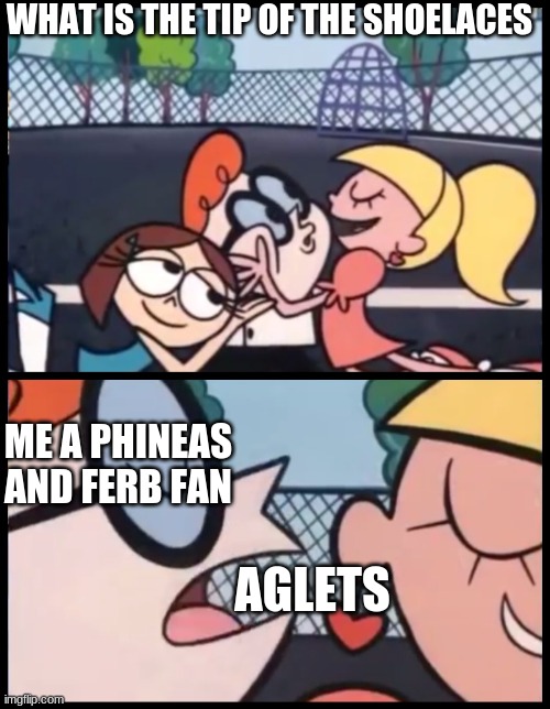 Say it Again, Dexter | WHAT IS THE TIP OF THE SHOELACES; ME A PHINEAS AND FERB FAN; AGLETS | image tagged in phineas and ferb,fun,say it again dexter | made w/ Imgflip meme maker