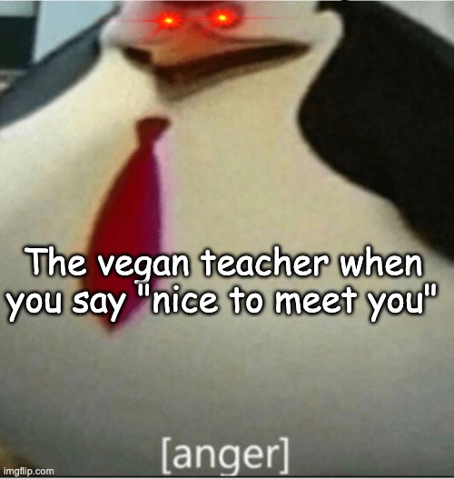 anger | The vegan teacher when you say "nice to meet you" | image tagged in anger,mad | made w/ Imgflip meme maker