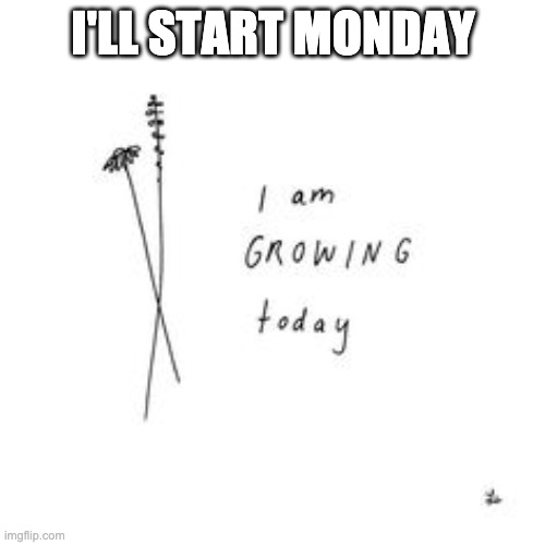 just like my weight loss journey |  I'LL START MONDAY | image tagged in not today | made w/ Imgflip meme maker
