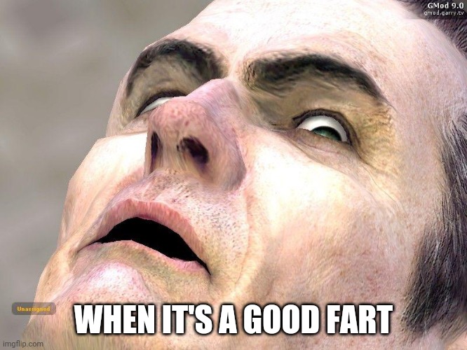 My fart is art | WHEN IT'S A GOOD FART | image tagged in g-man from half-life | made w/ Imgflip meme maker