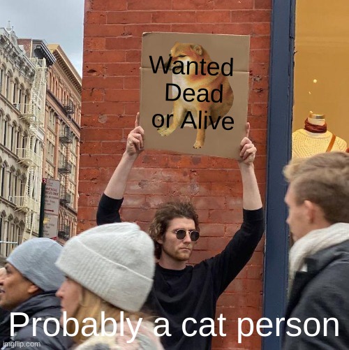 Wanted 
Dead or Alive; Probably a cat person | image tagged in memes,guy holding cardboard sign | made w/ Imgflip meme maker