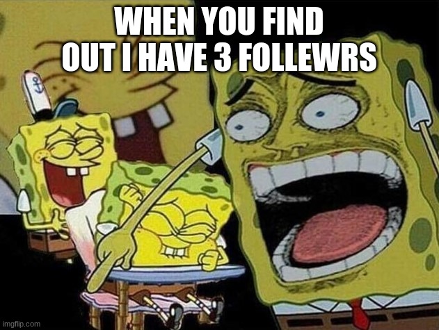 Spongebob laughing Hysterically | WHEN YOU FIND OUT I HAVE 3 FOLLEWRS | image tagged in spongebob laughing hysterically | made w/ Imgflip meme maker